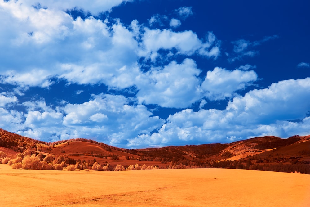 昼間の青空と白い雲の下に茶色の砂浜