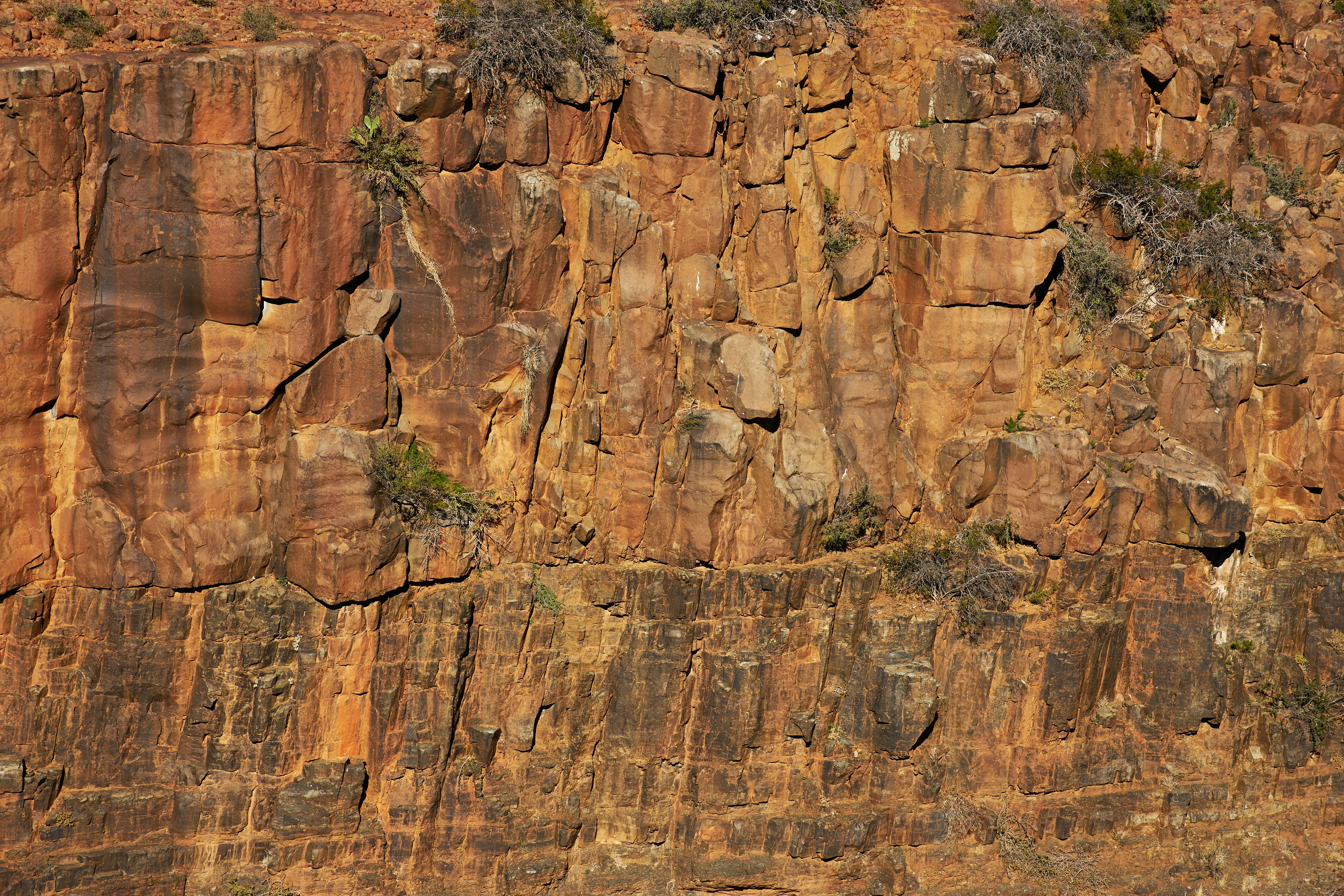 Photo by wolfgang_hasselmann