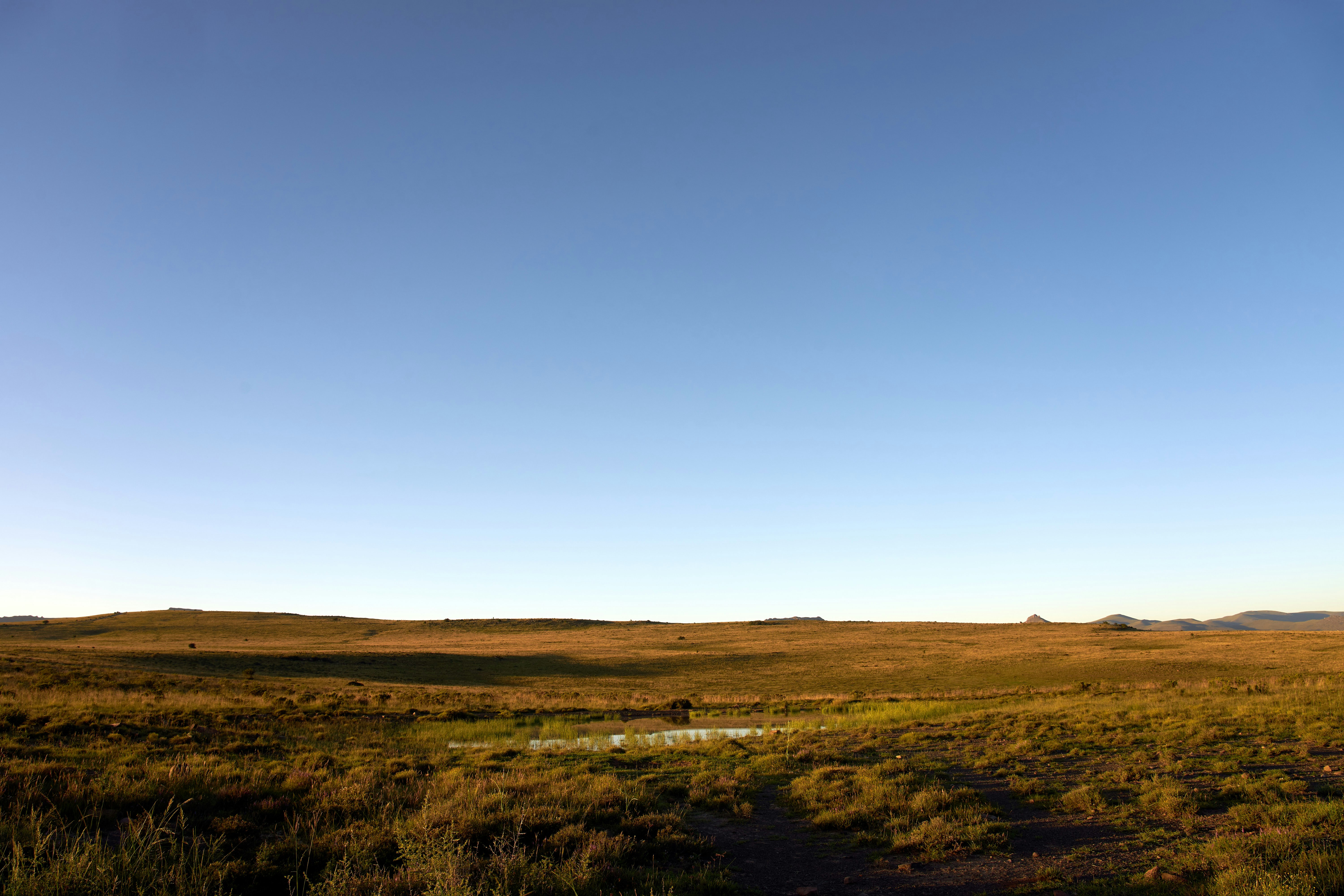 Photo by wolfgang_hasselmann