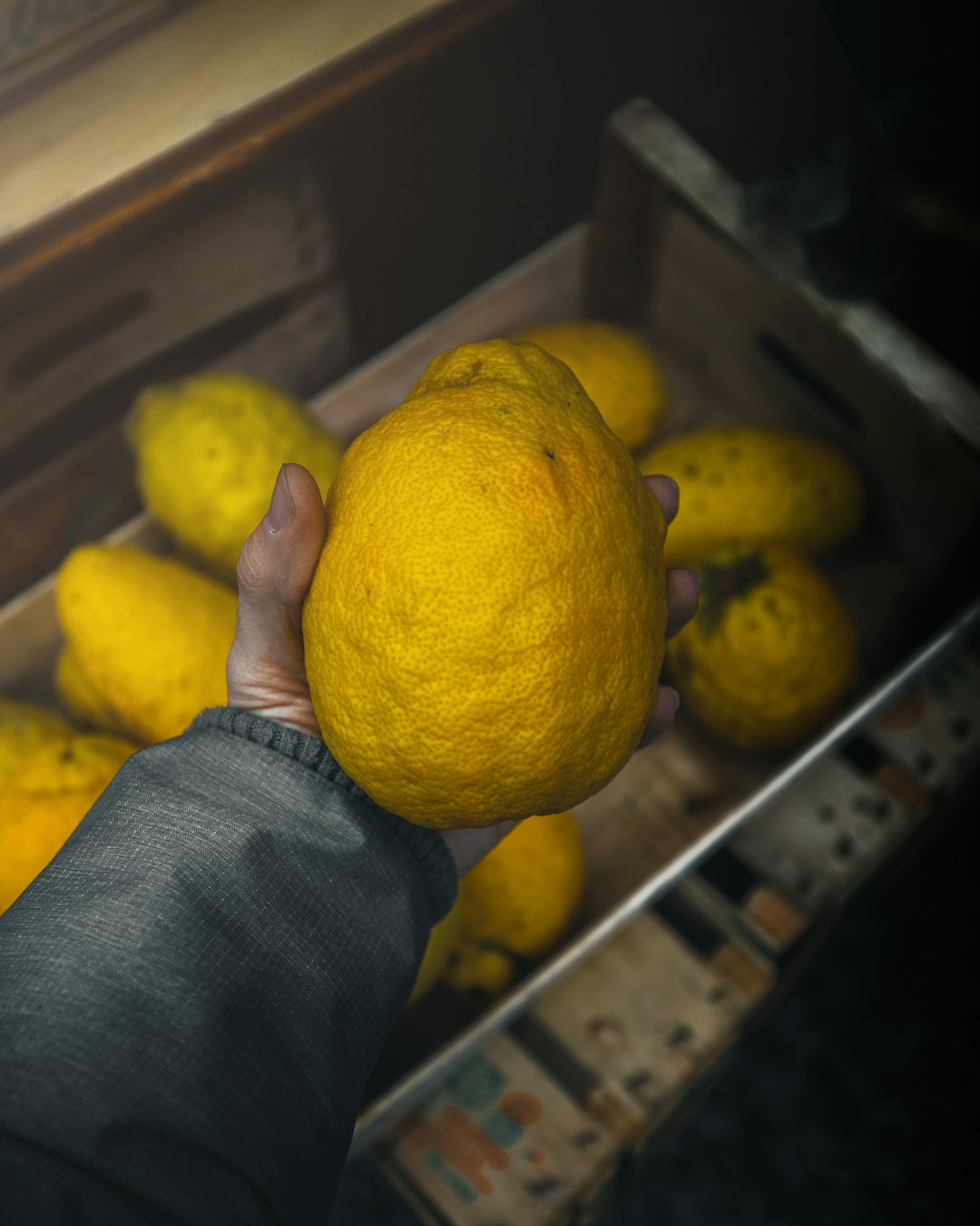 yellow lemon fruit on persons lap