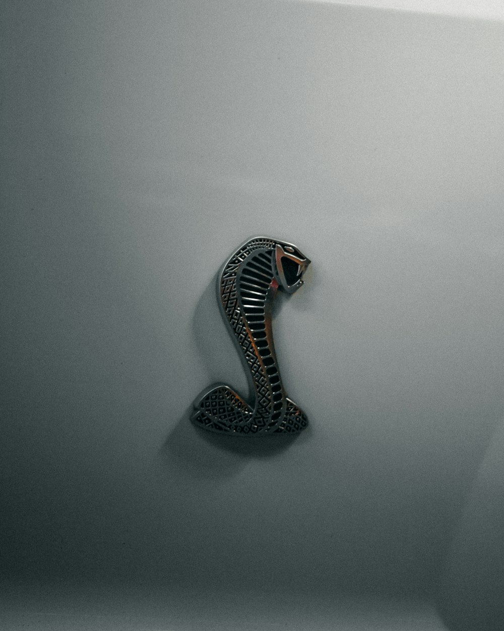 黒と白の縞模様のヘビ