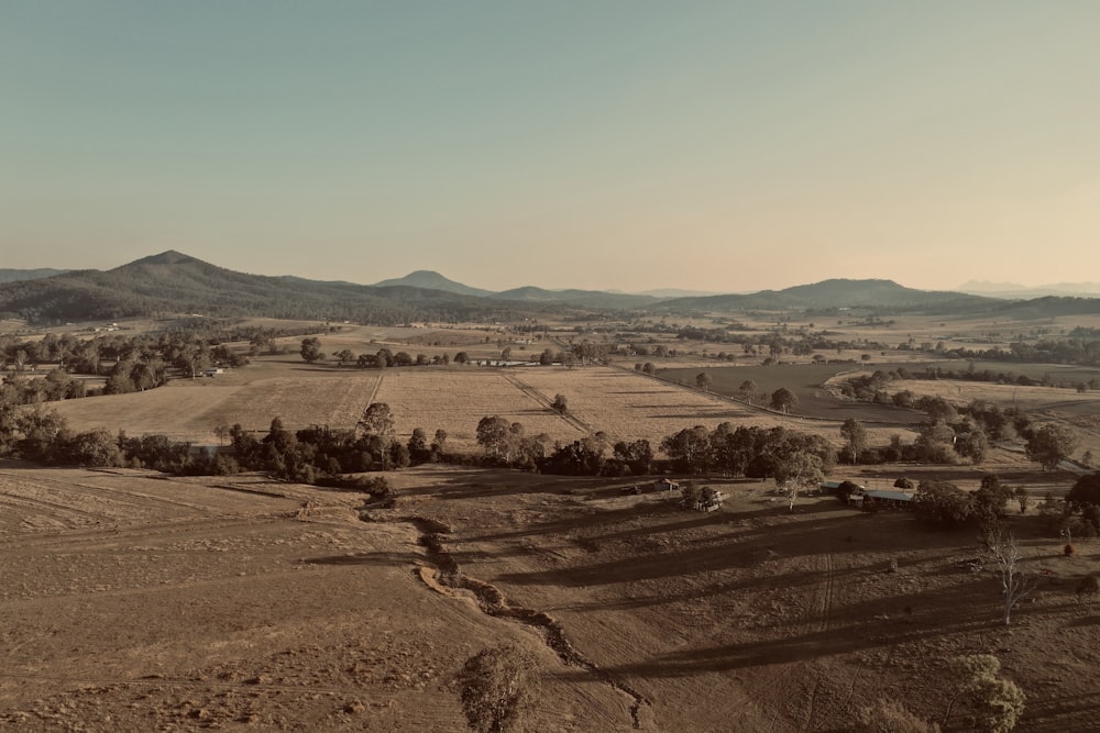 campo marrom sob o céu azul durante o dia