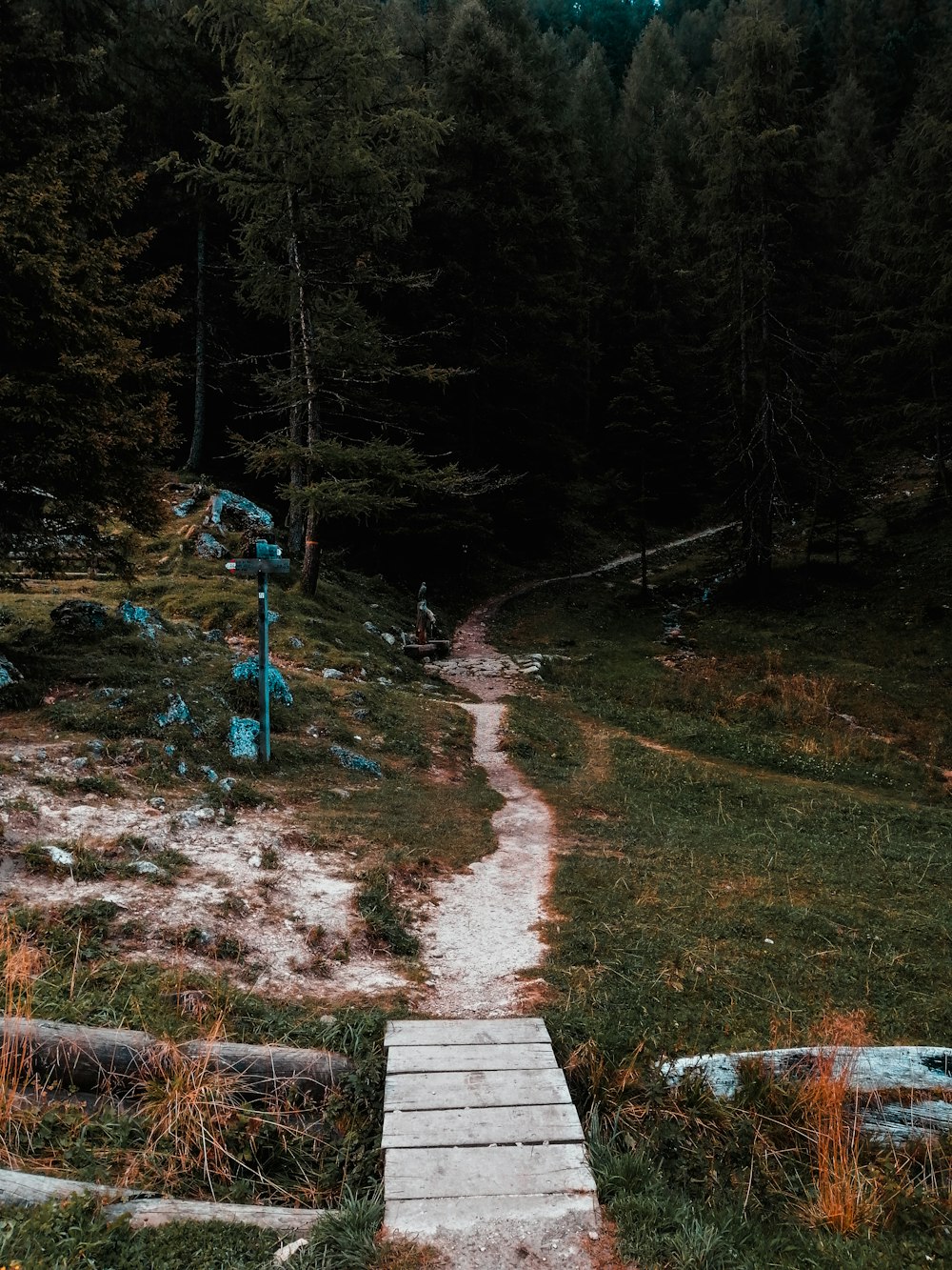 person in blue jacket walking on brown dirt road during daytime