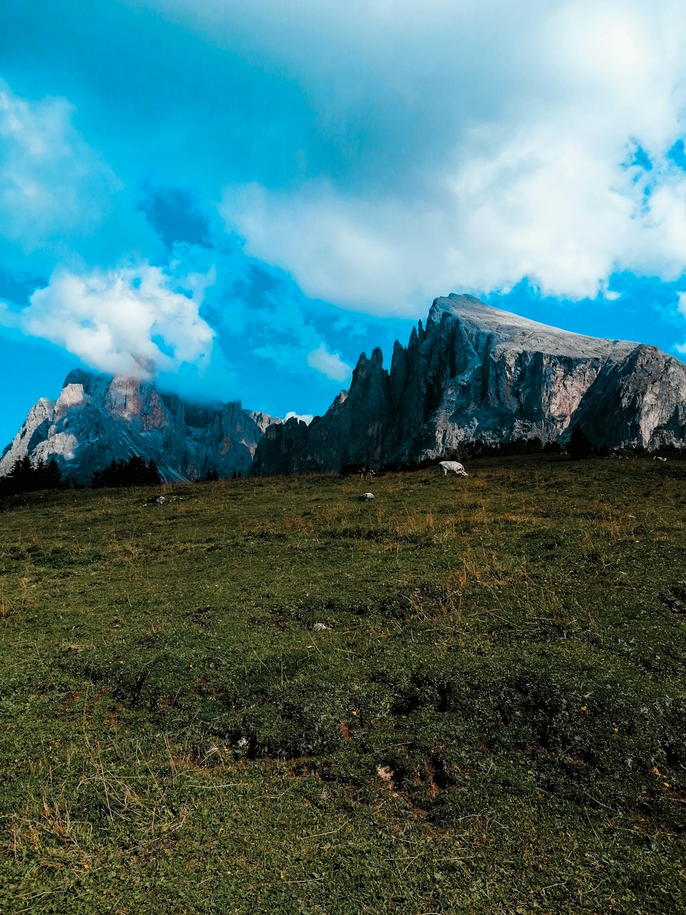 green grass field near mountain under white clouds during daytime