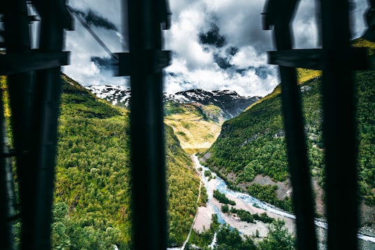 green grass field under cloudy sky during daytime in Myrdal Norway