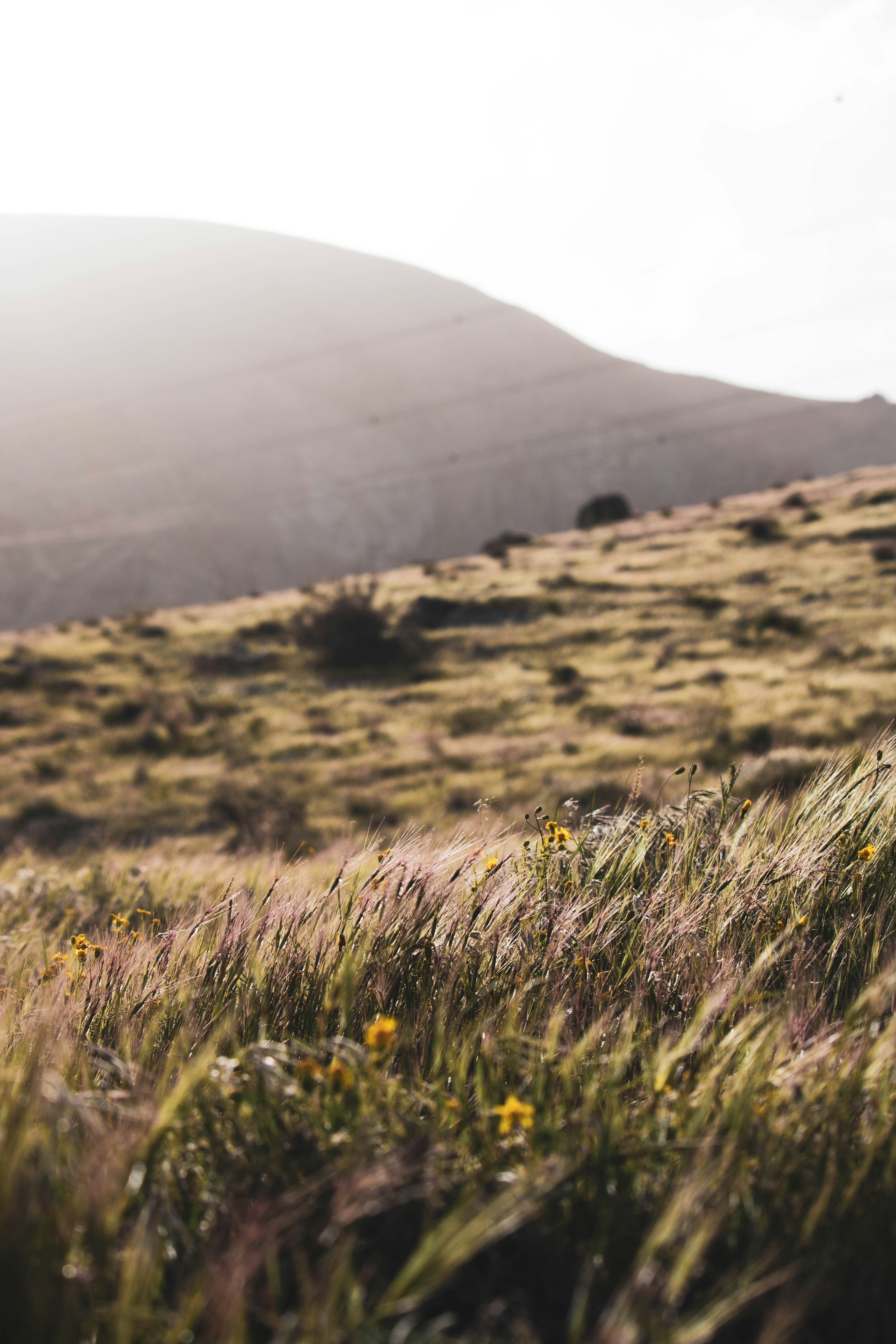 Photo by hossein_pics