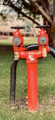 A red fire hydrant stands on a patch of green grass, featuring two vertical outlets with attached metal locks. The background includes blurred trees and a building structure.