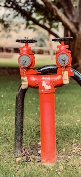 A red fire hydrant stands on a patch of green grass, featuring two vertical outlets with attached metal locks. The background includes blurred trees and a building structure.
