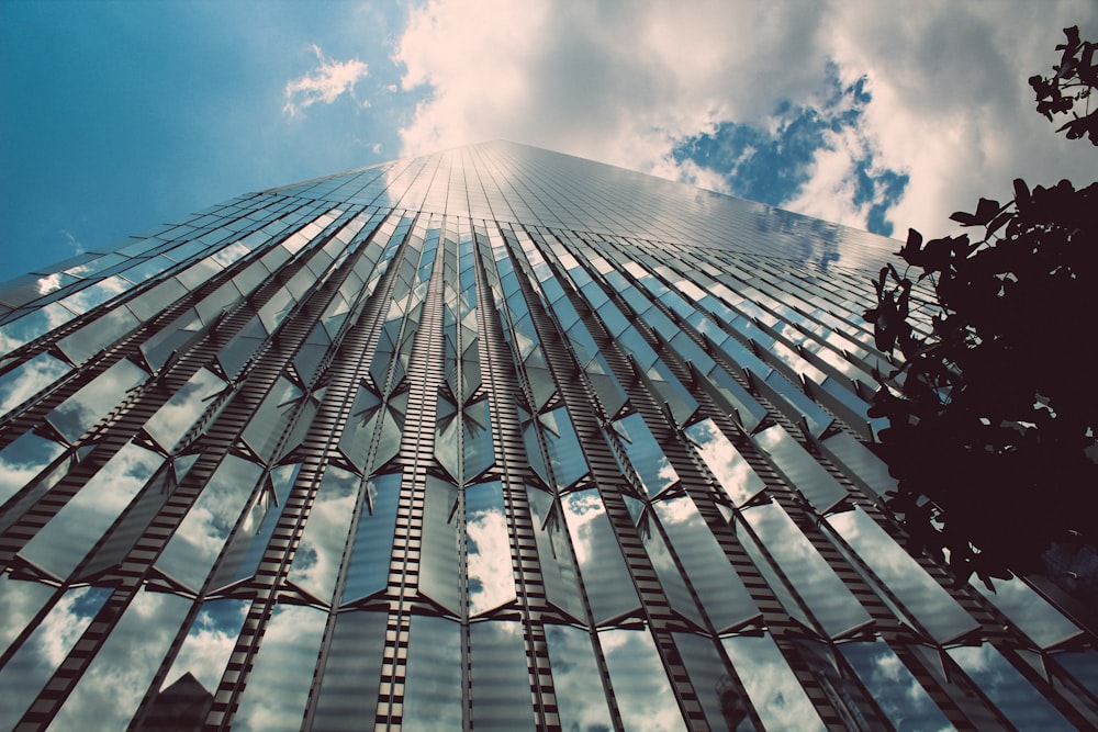 white and blue glass building