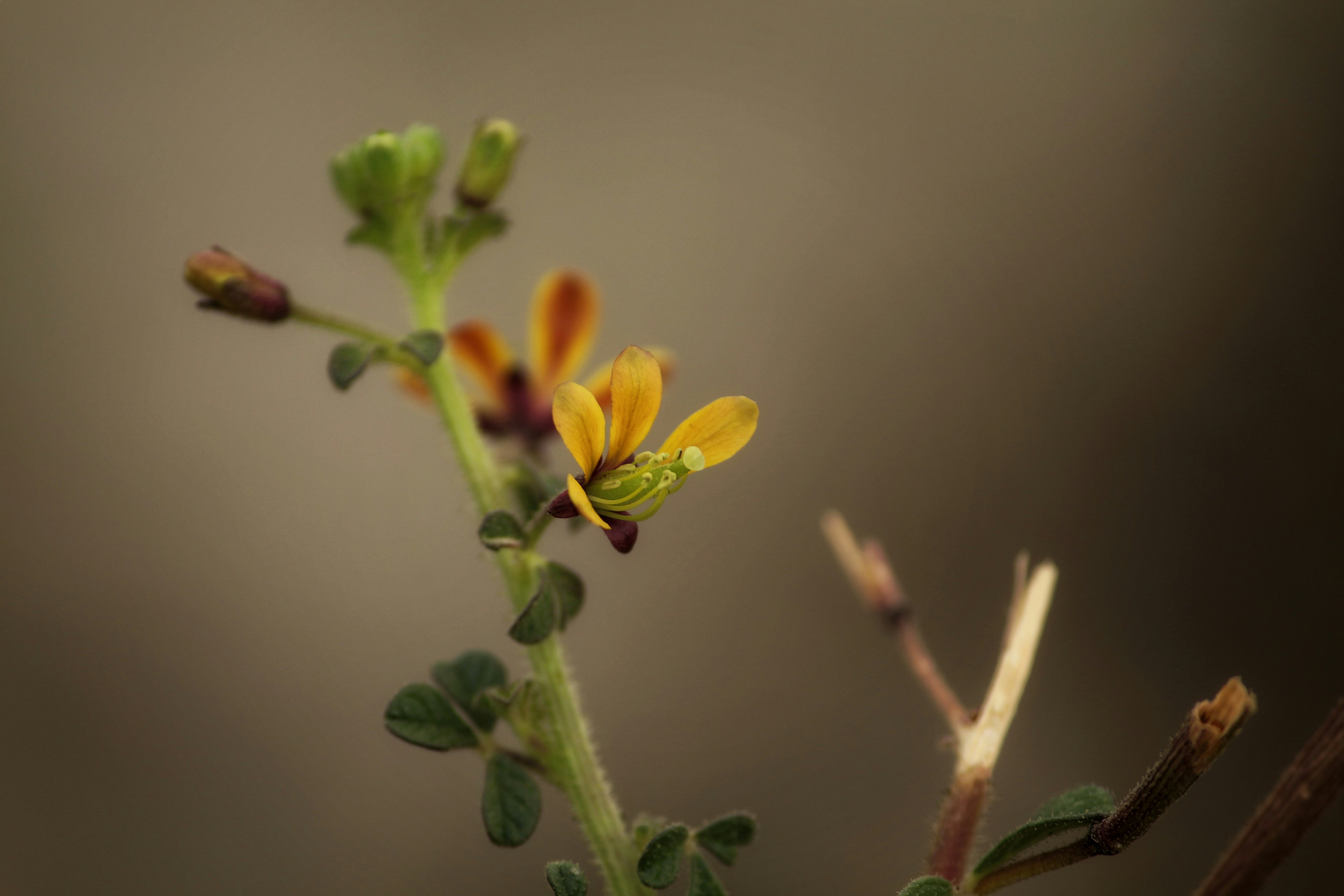 Photo by praveenraj137