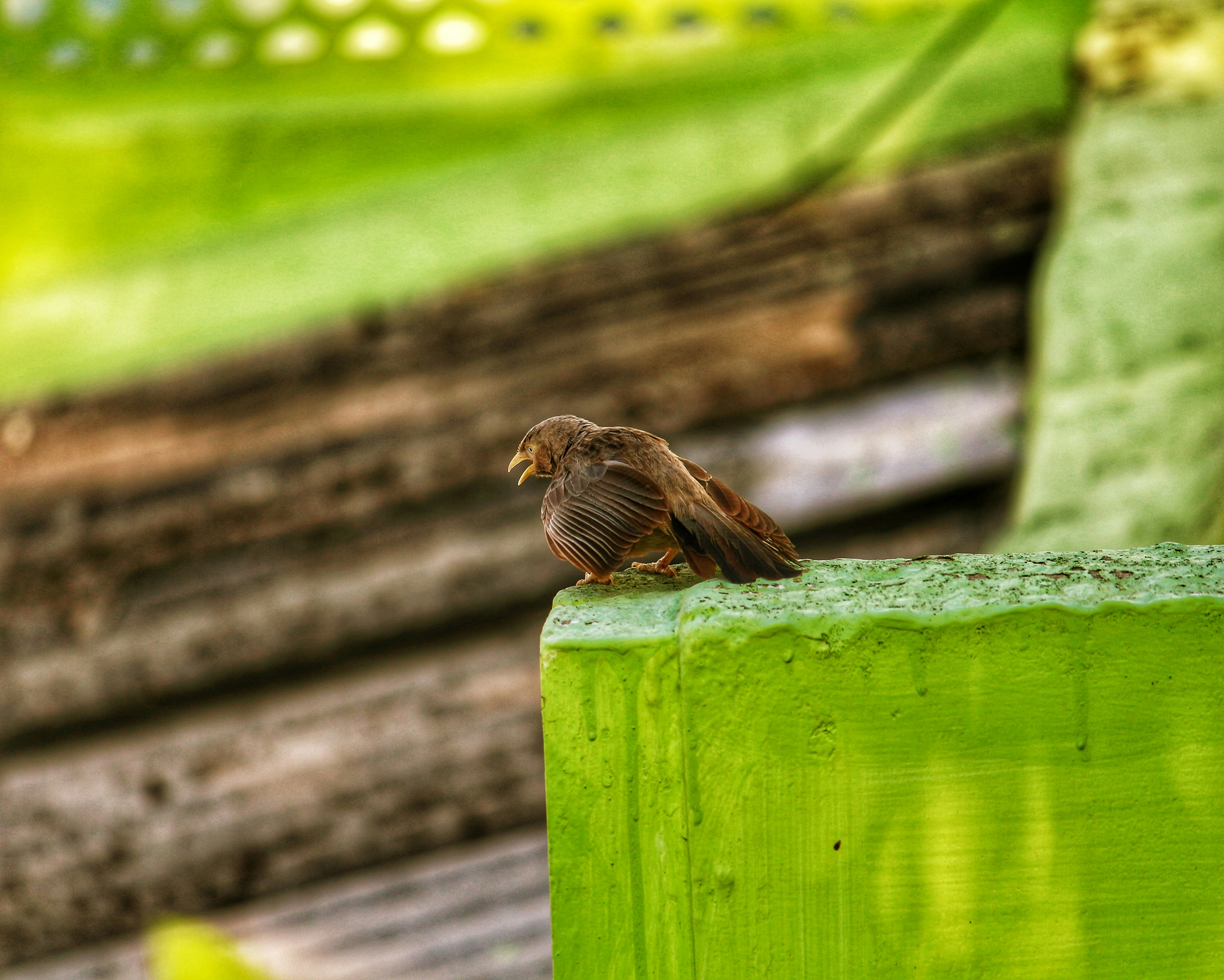 Photo by praveenraj137