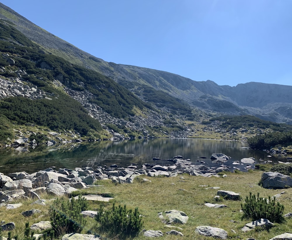 green grass and white rocks near lake and mountains during daytime