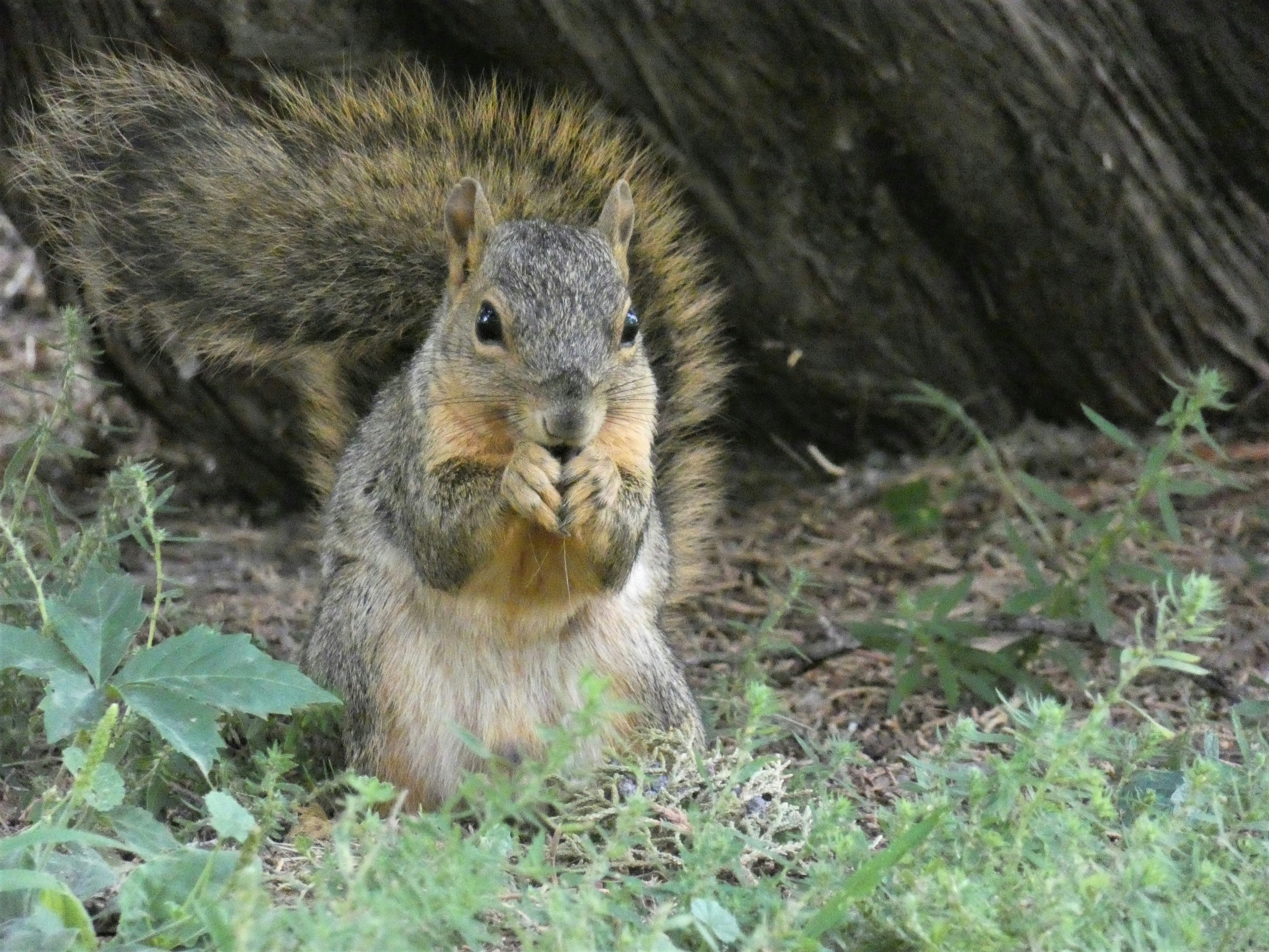 Photo by kevymichaelscontent