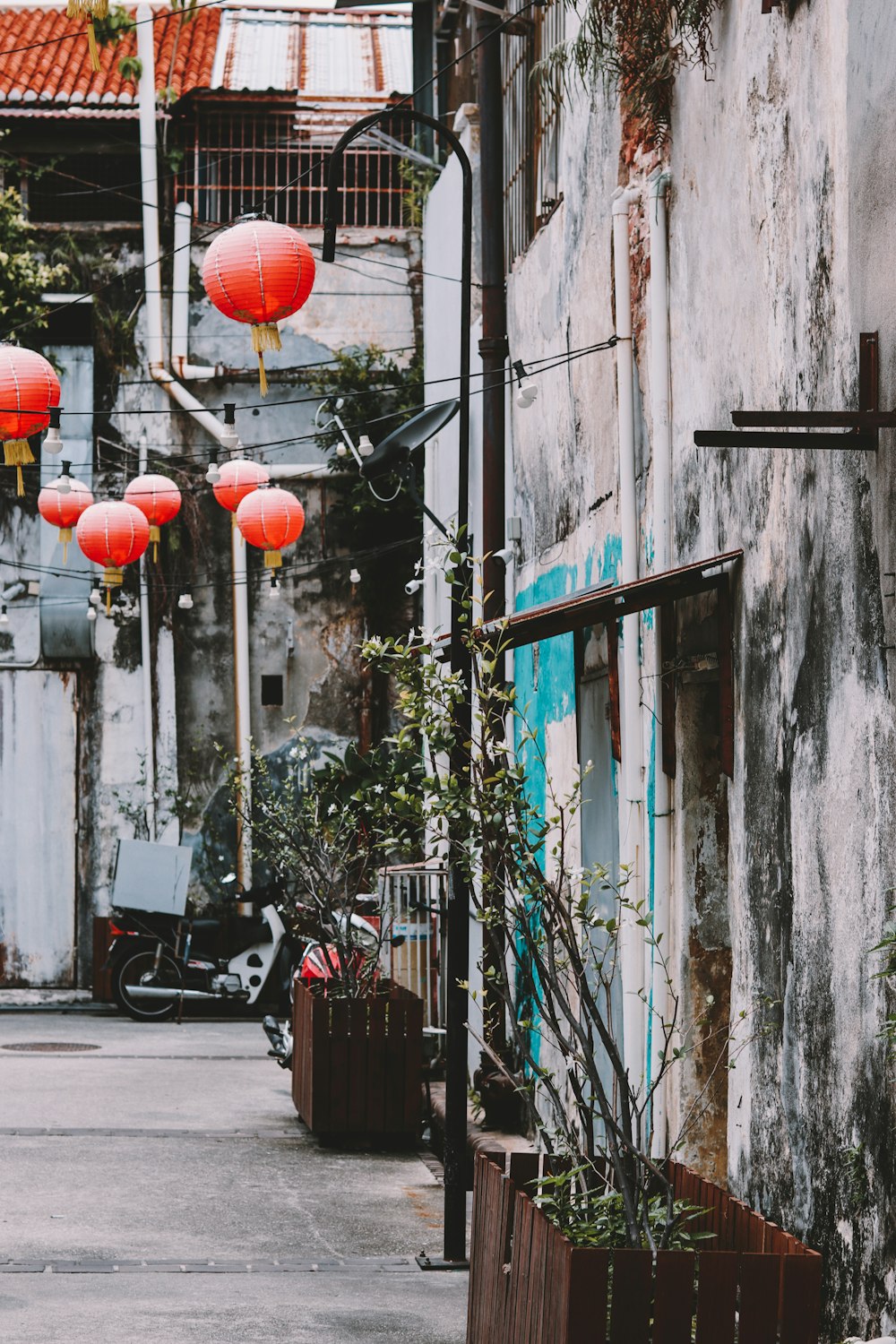 red lantern hanging on the wall