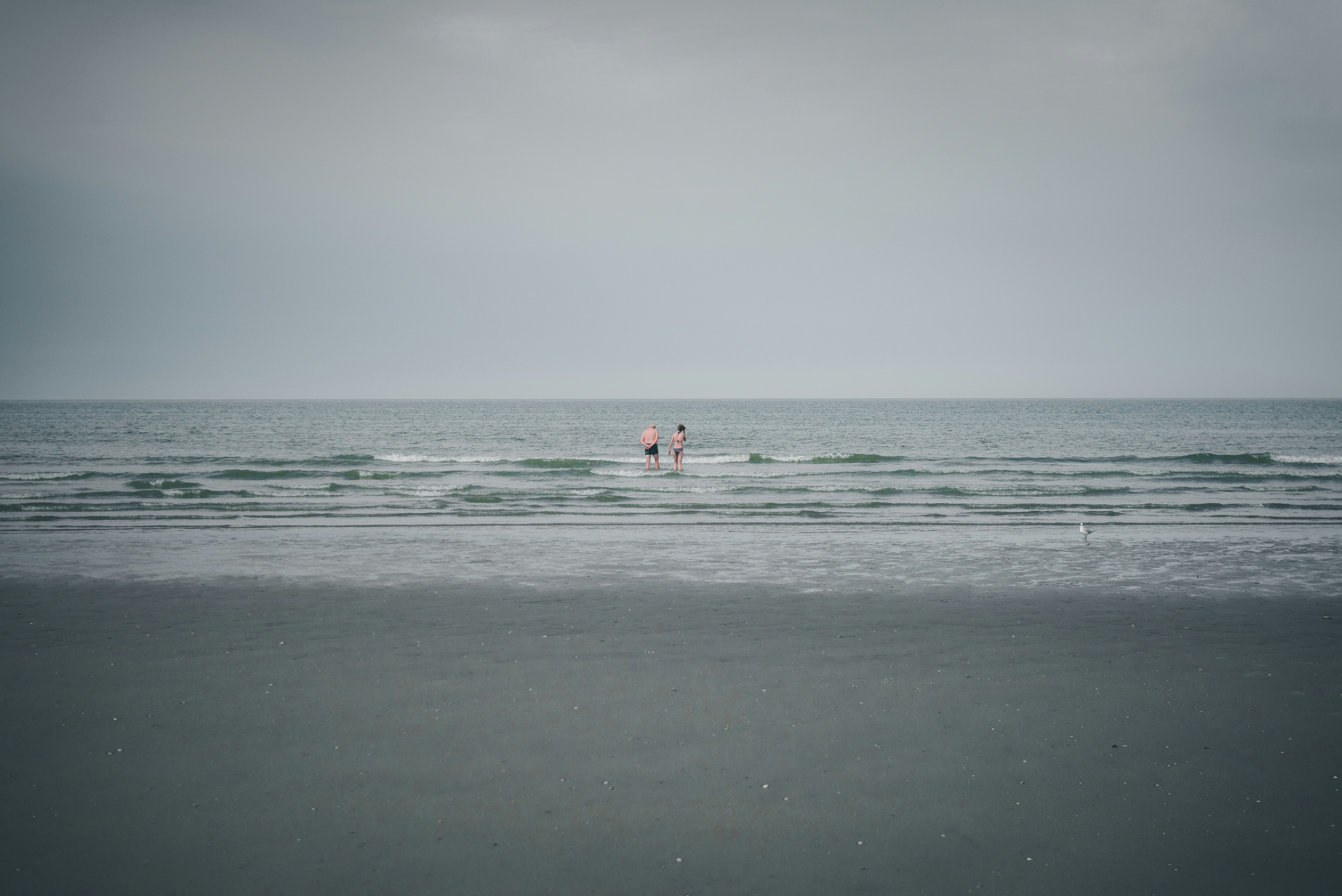 Photo by alexdinaut