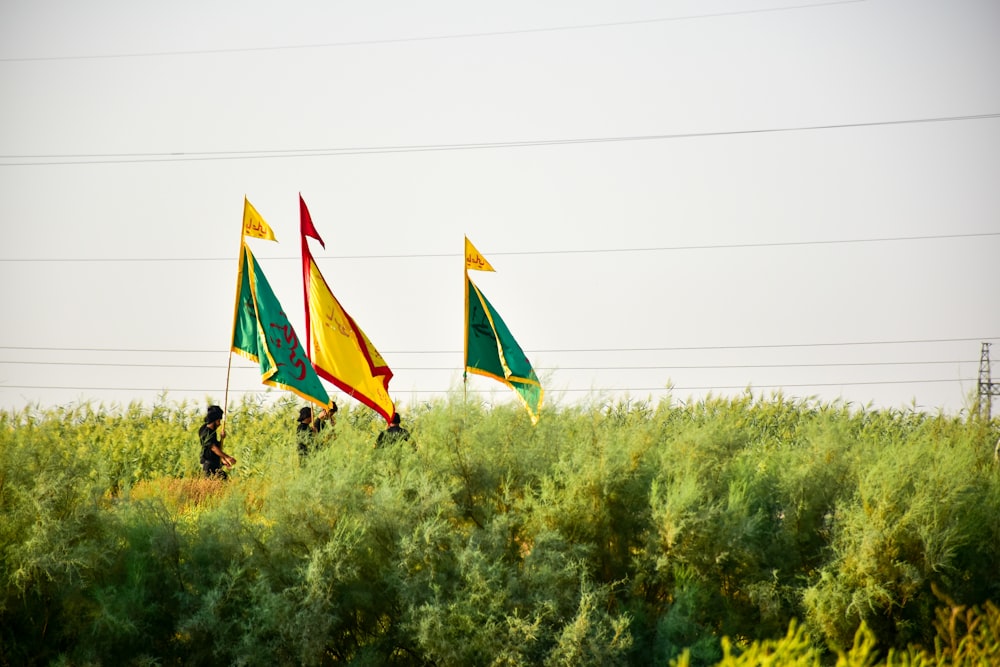 person in black jacket and blue pants holding yellow and blue flag on green grass field