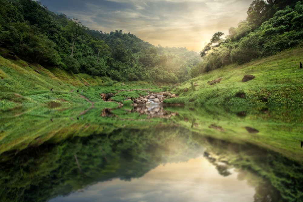 green grass field beside river during daytime