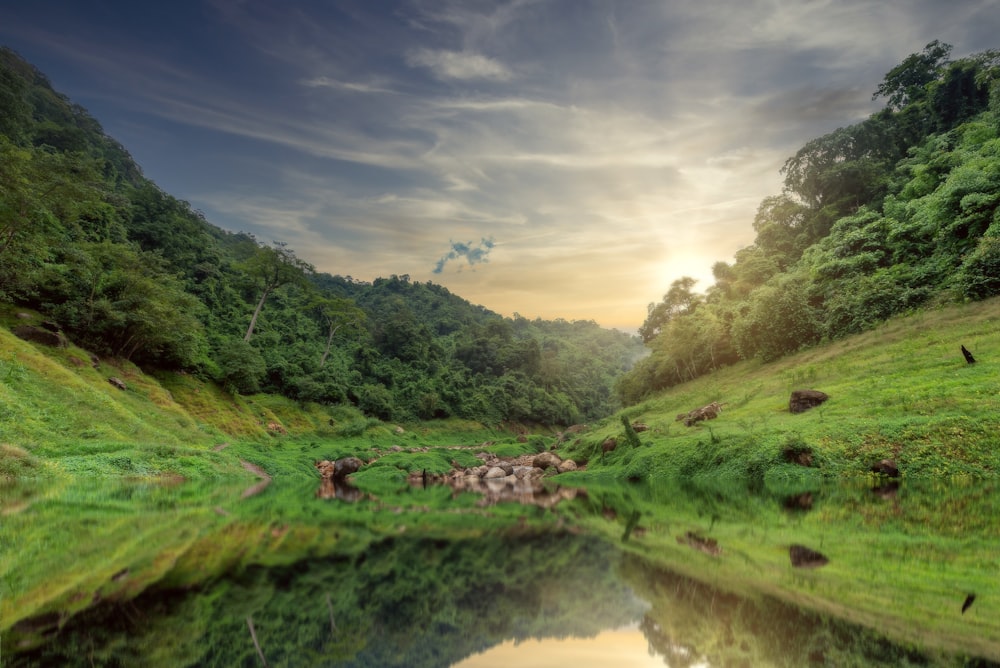 green grass field beside river under blue sky during daytime