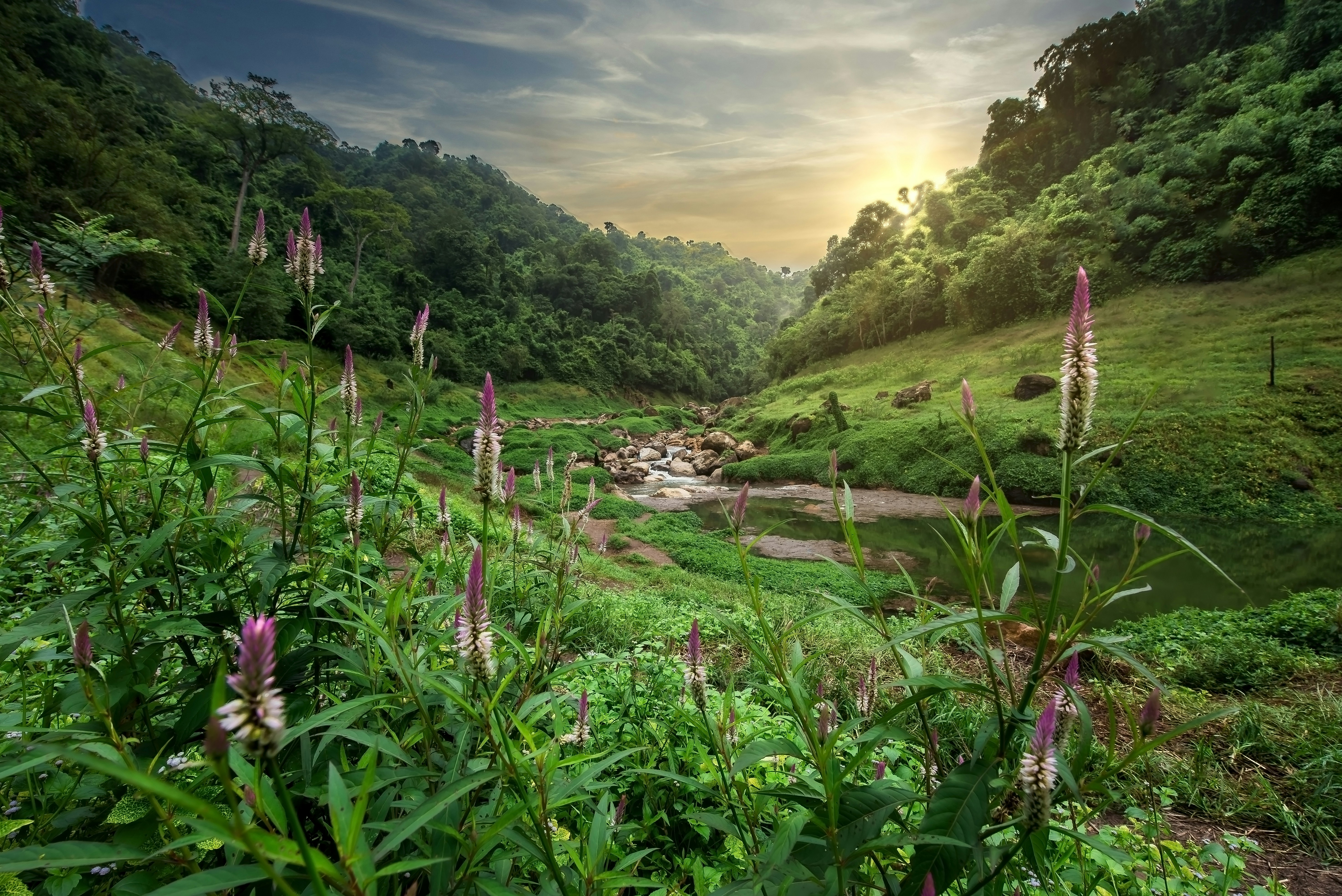 green grass and trees on mountain under white clouds and blue sky during daytime