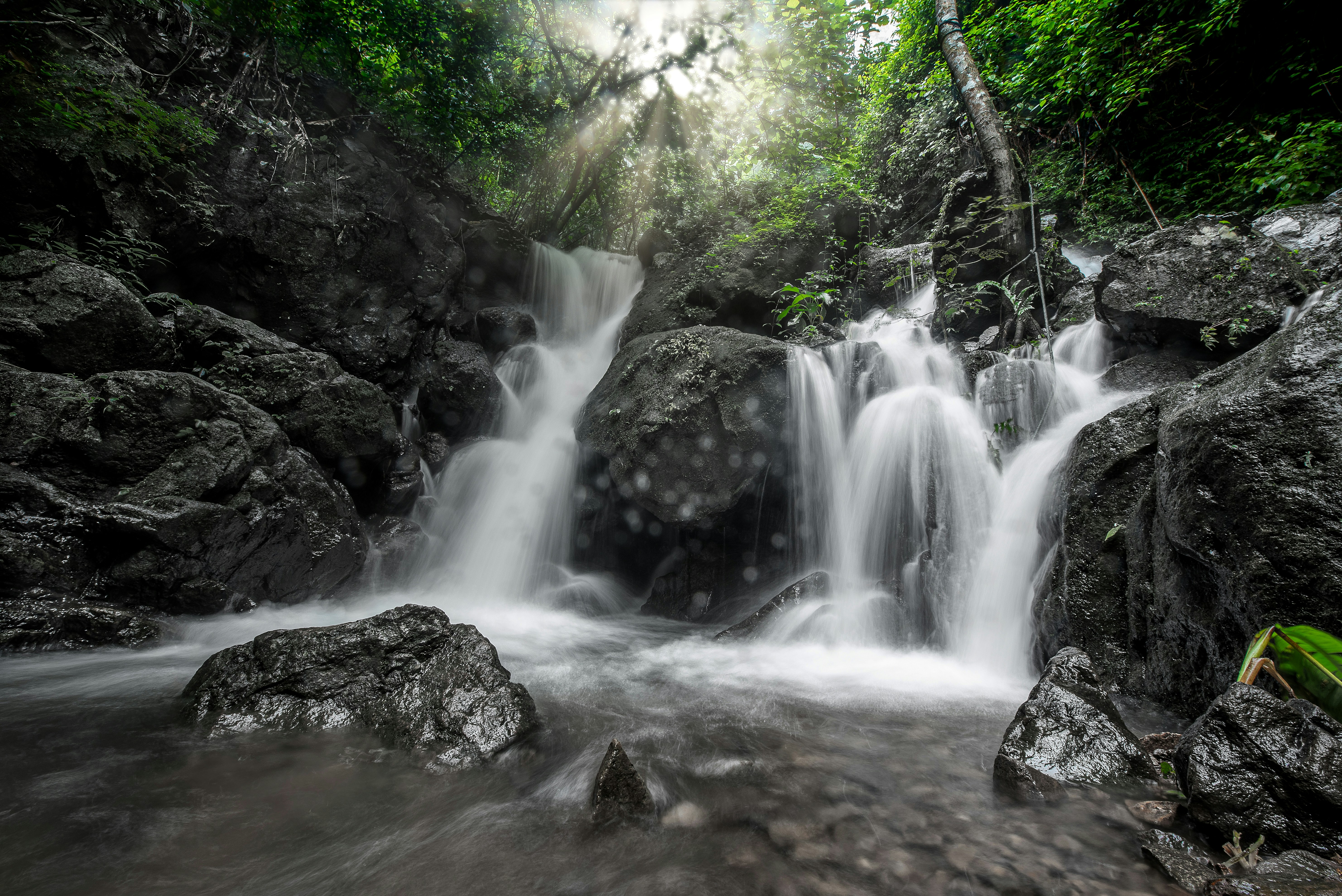 water falls in the middle of the forest