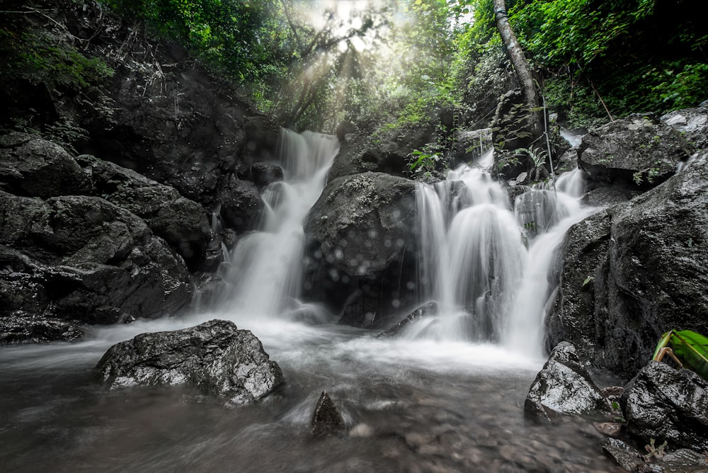 water falls in the middle of the forest