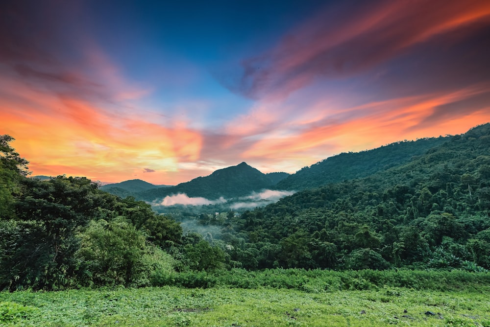 green grass field near mountain under blue sky during daytime