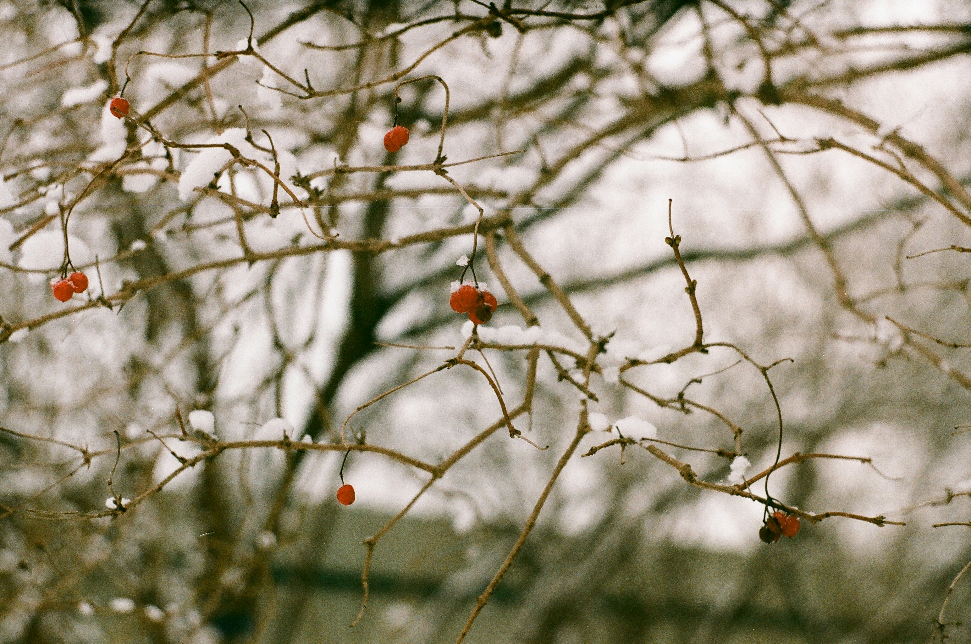 Photo by filedoesnotexist