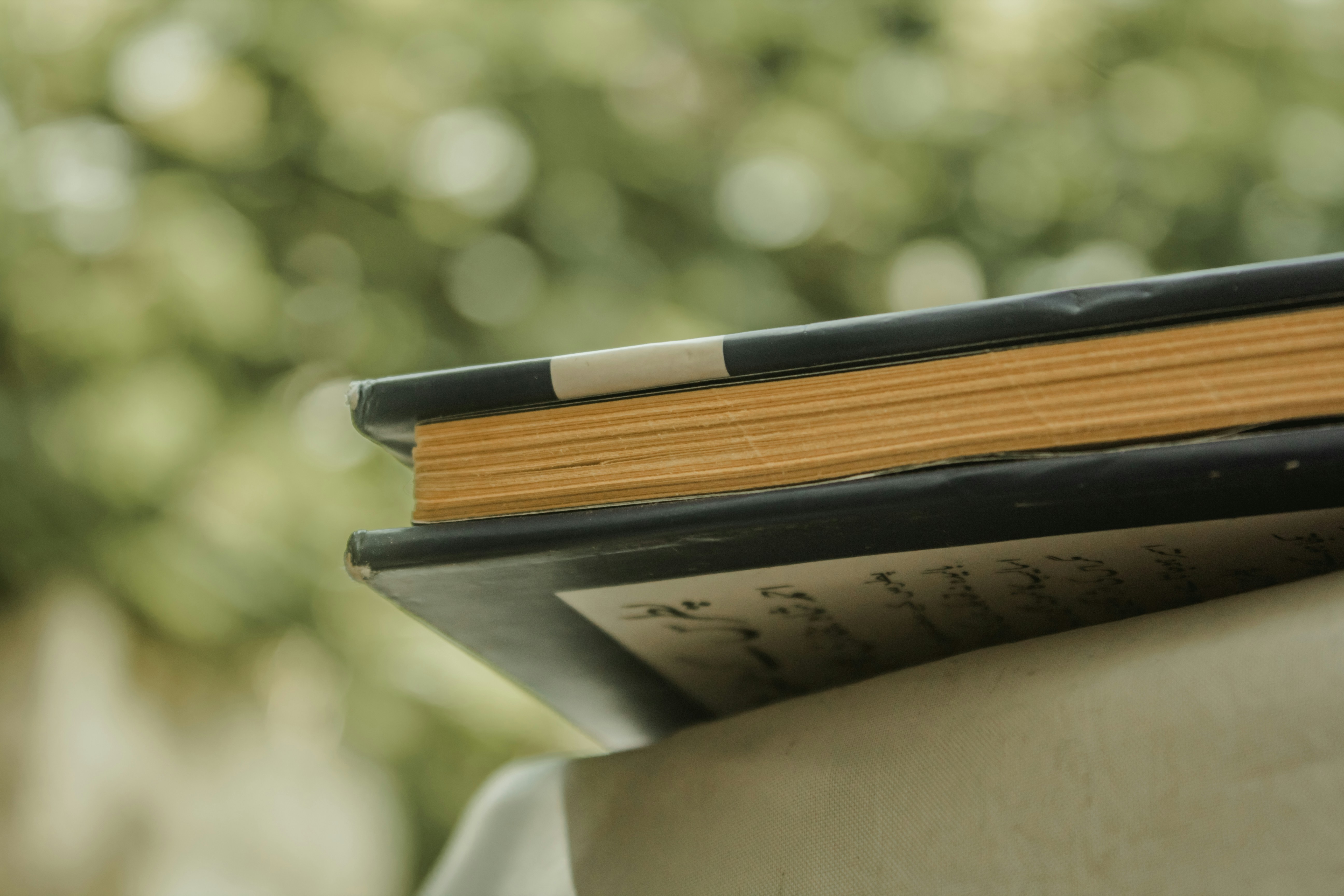 Photo by kamil_mehmood777