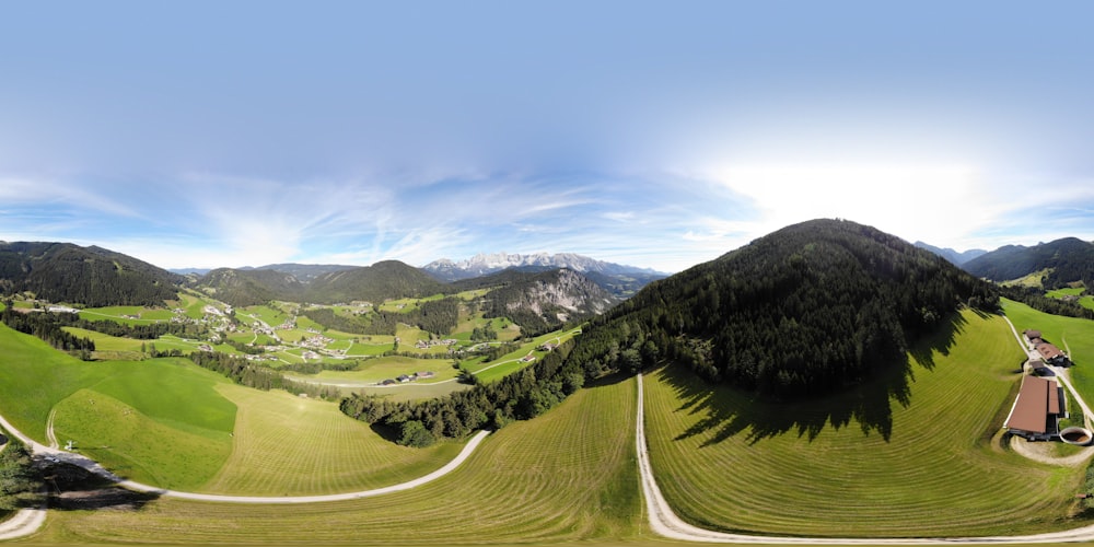 green trees on green grass field under blue sky during daytime