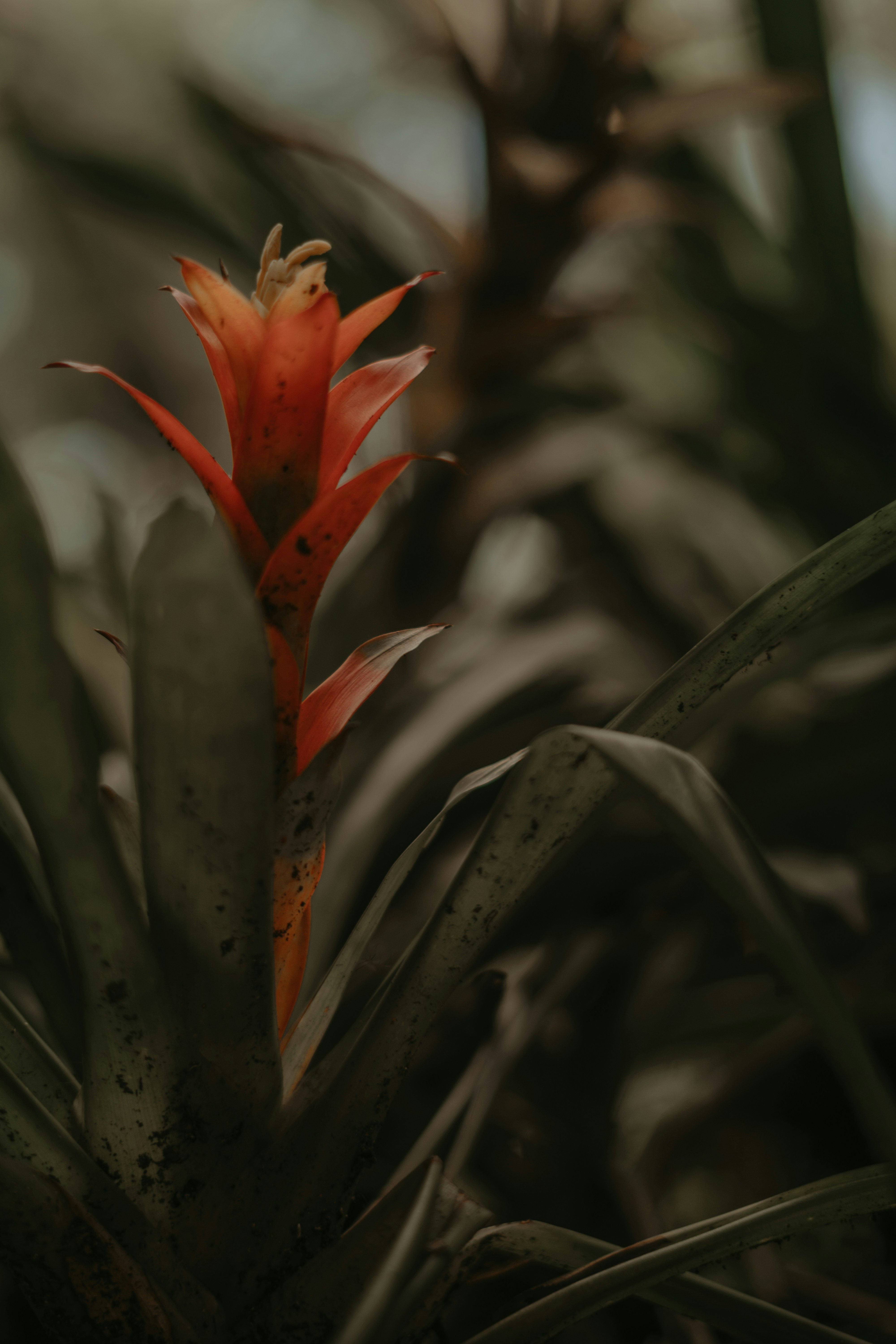 Photo by photo_canela