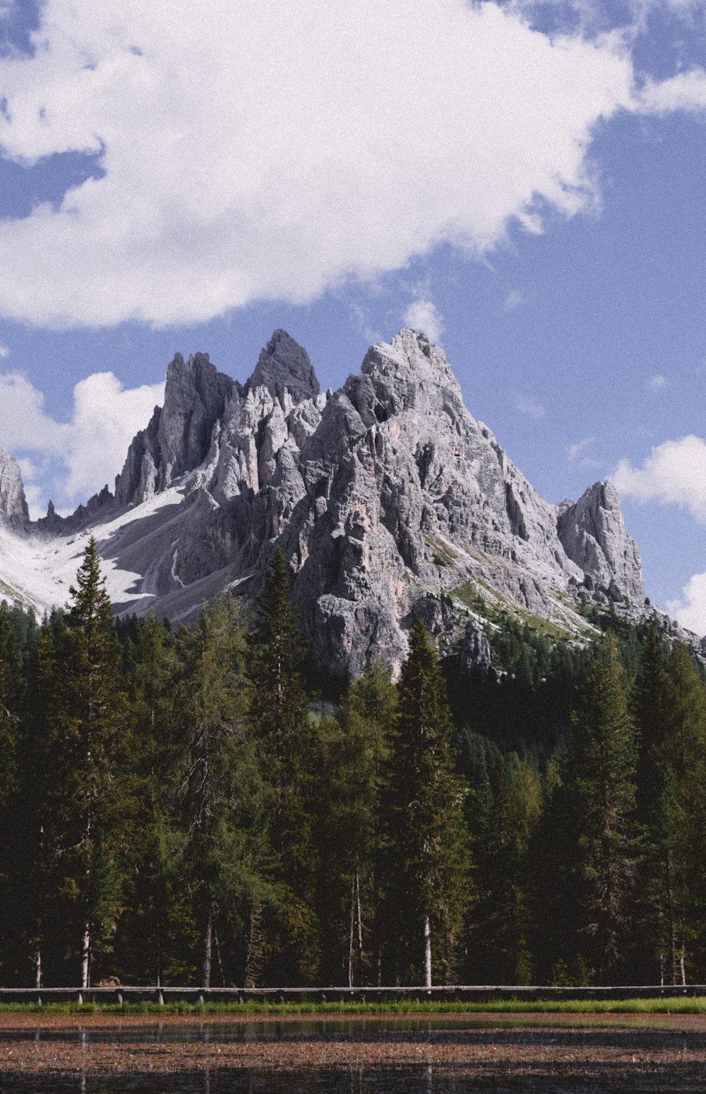 green pine trees near mountain under blue sky during daytime