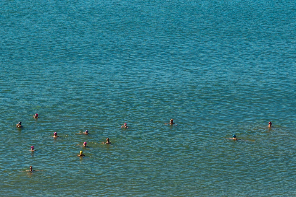 people swimming on sea during daytime