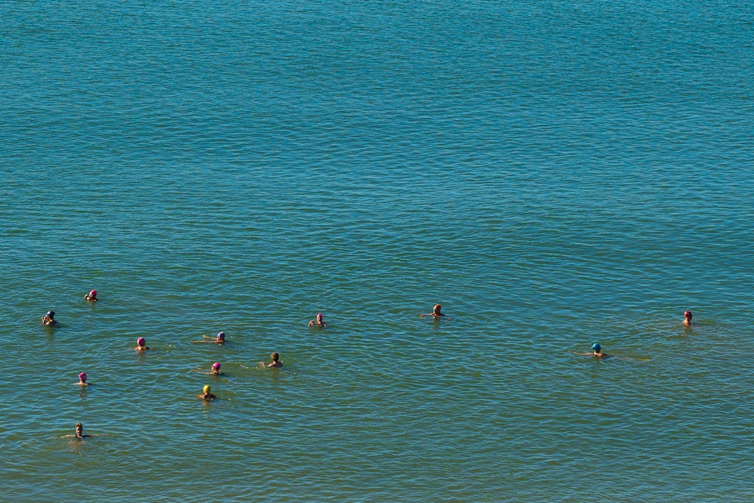 people swimming on sea during daytime