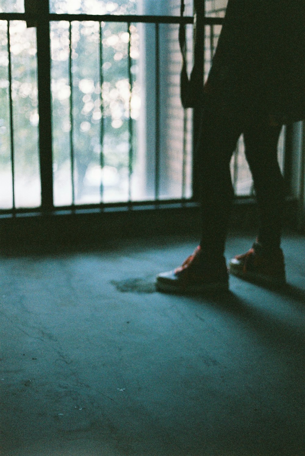 person standing near glass window