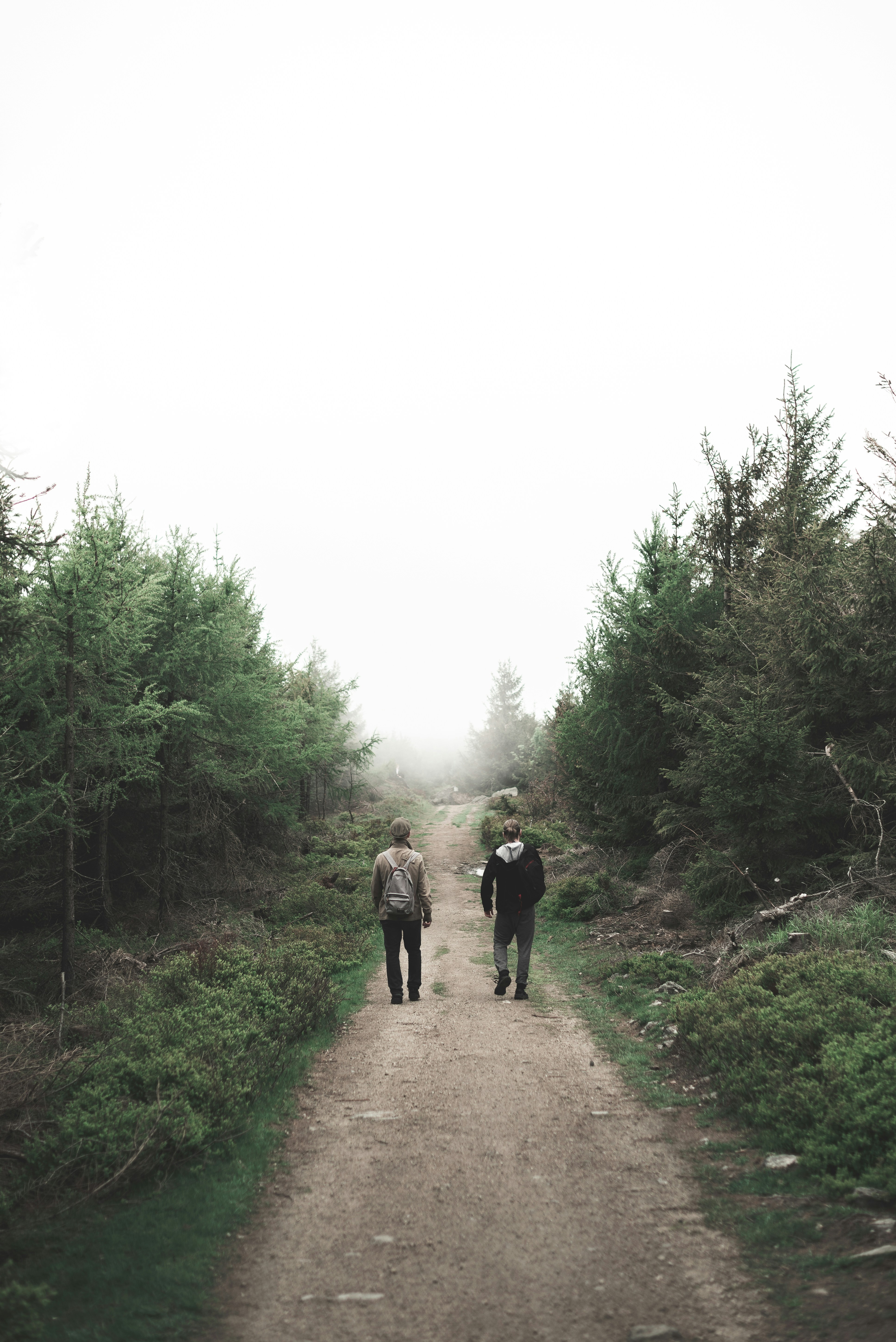 Photo by gregory_rak