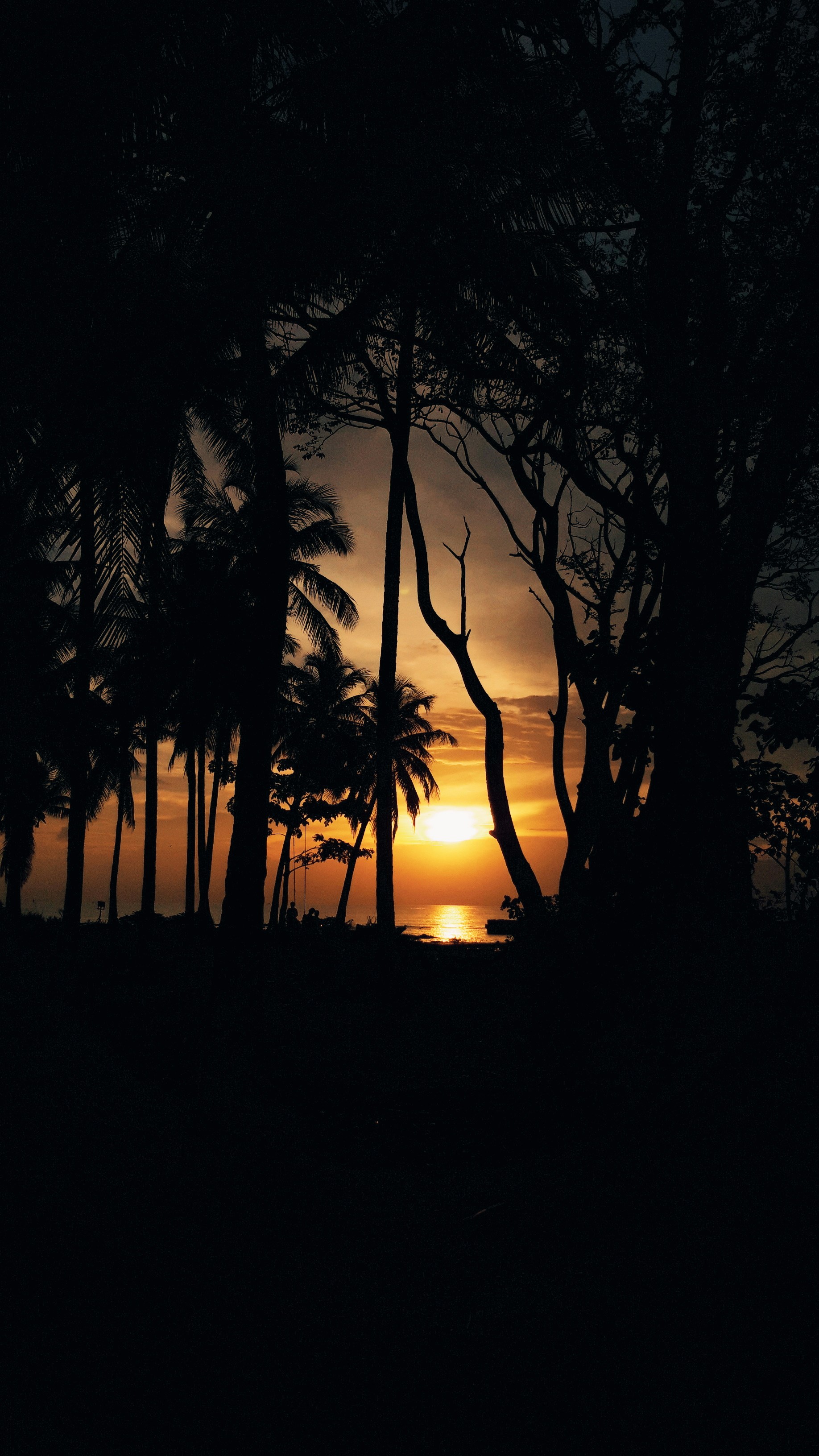 Photo by satyohr