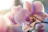 pink moth orchid in bloom in close up photography