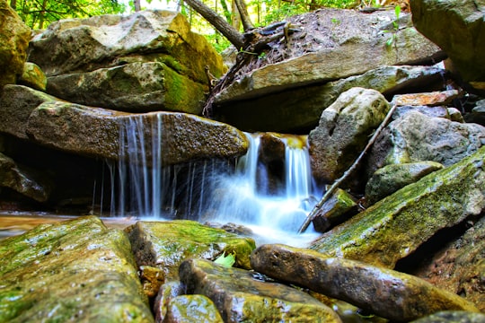 water falls on rocky mountain in Borer's Falls Trail Canada