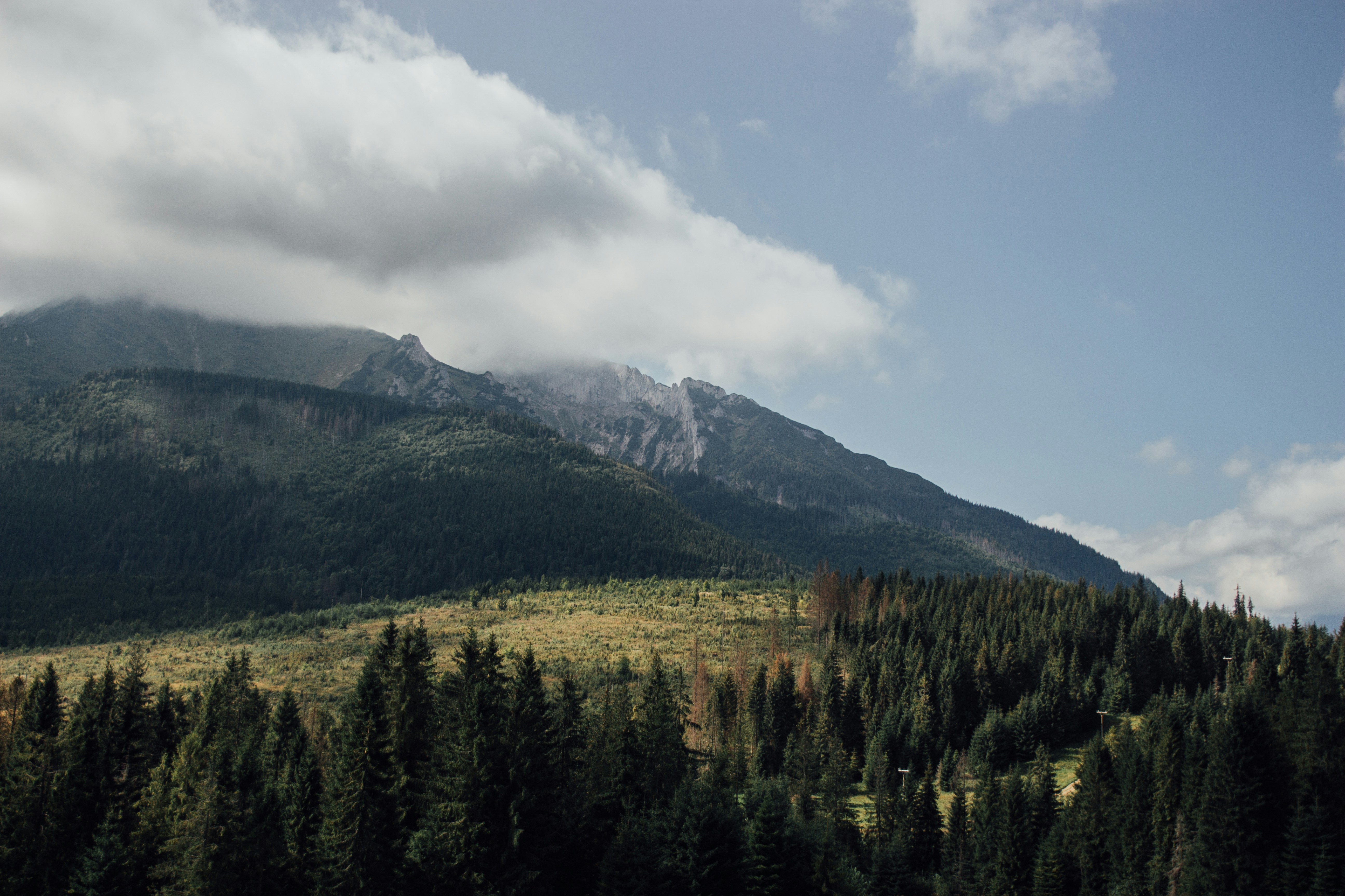 Photo by artstanulevich