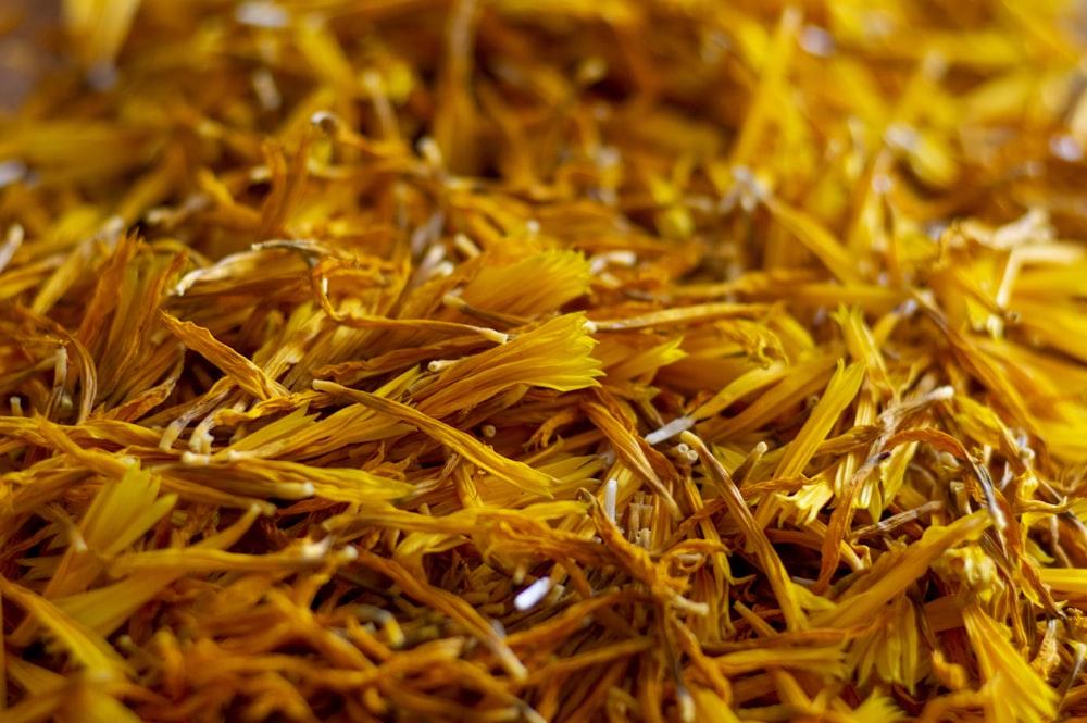 brown dried leaves in close up photography