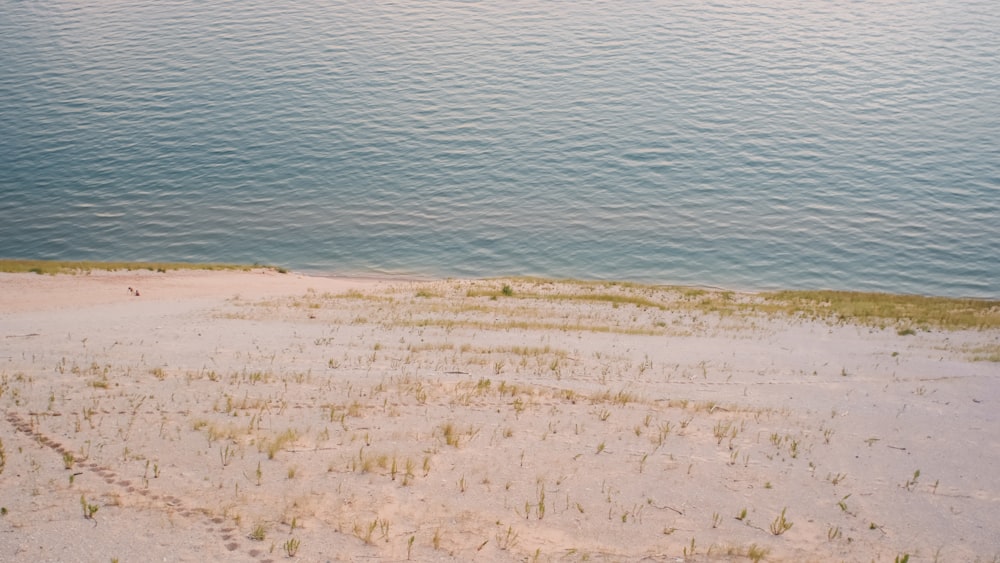 brown sand near body of water during daytime