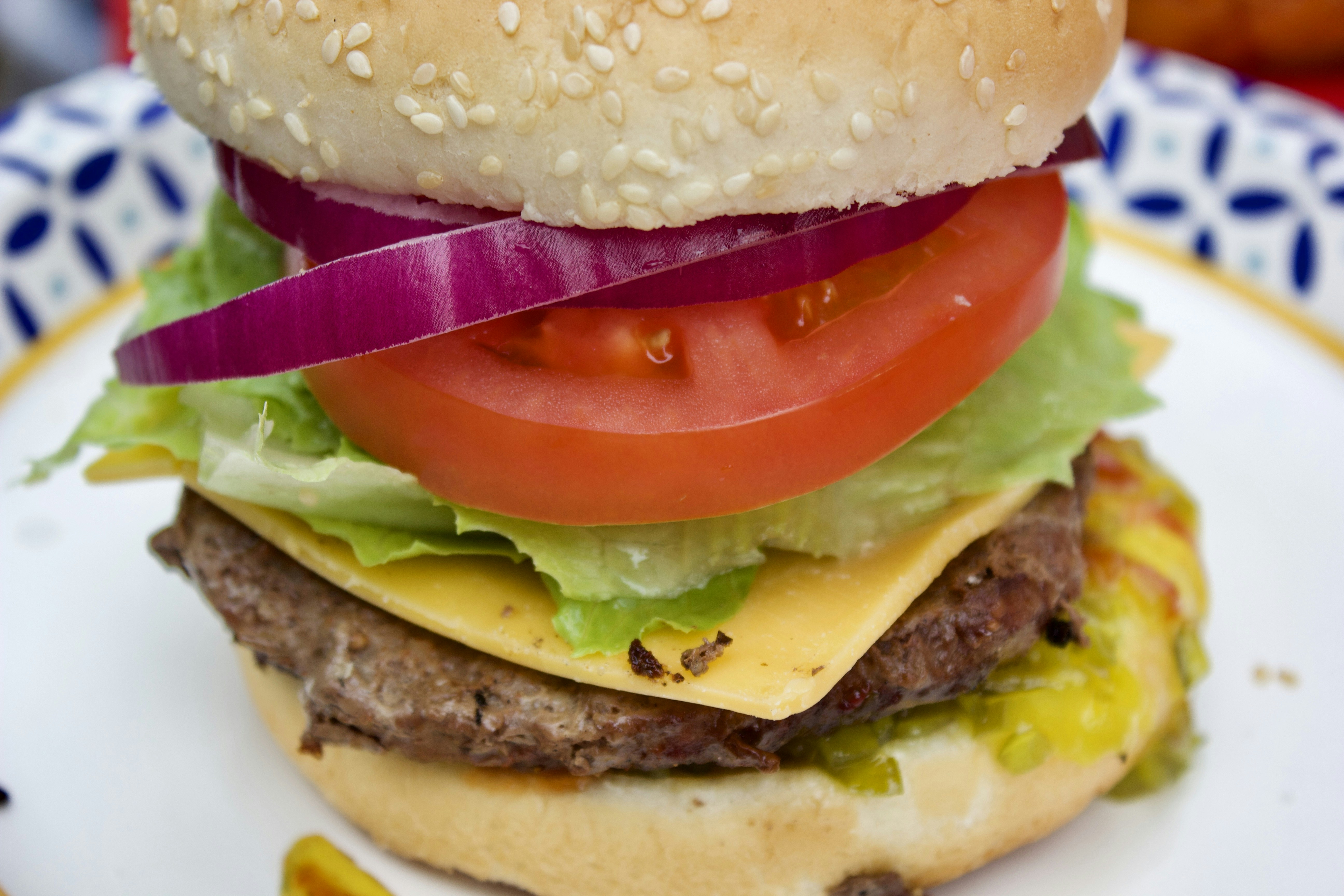 Photo by dr_joni_multimedia