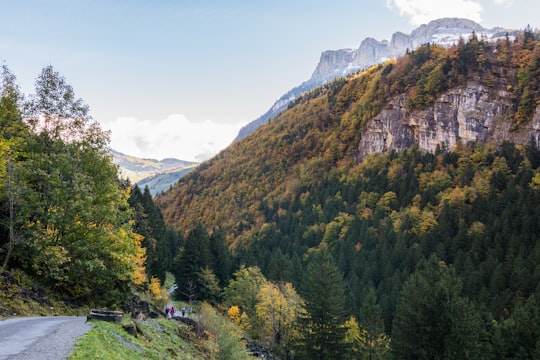 green trees on mountain under blue sky during daytime in Ebenalp Switzerland