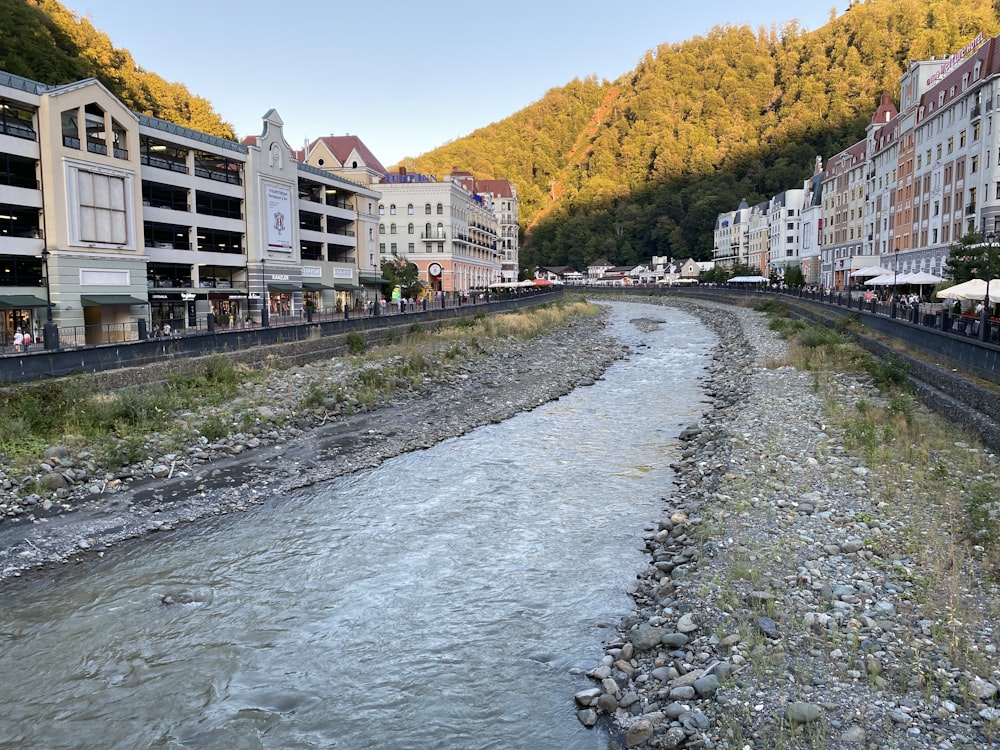 river between trees and buildings during daytime