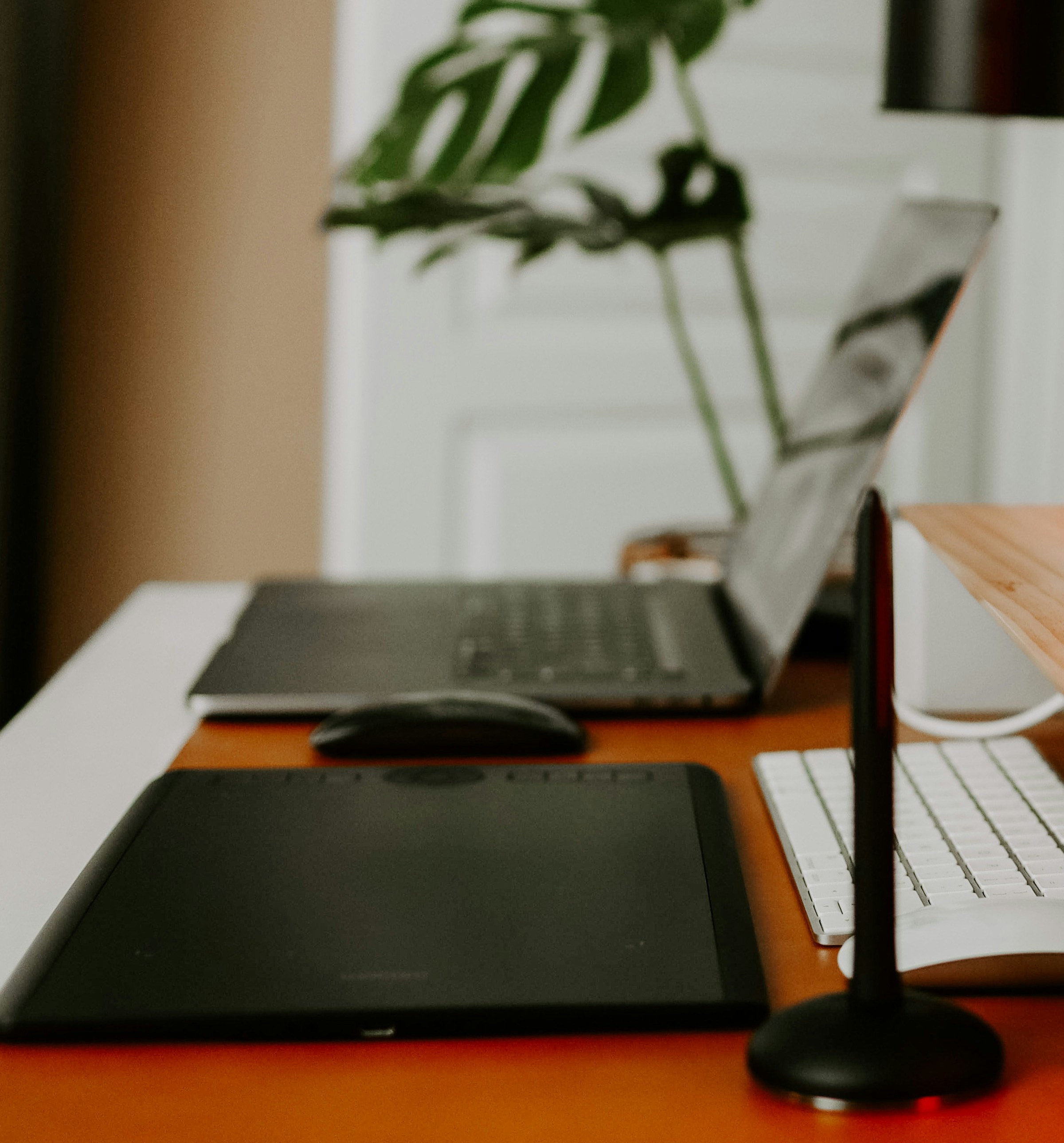 Photo by yanagirl2020