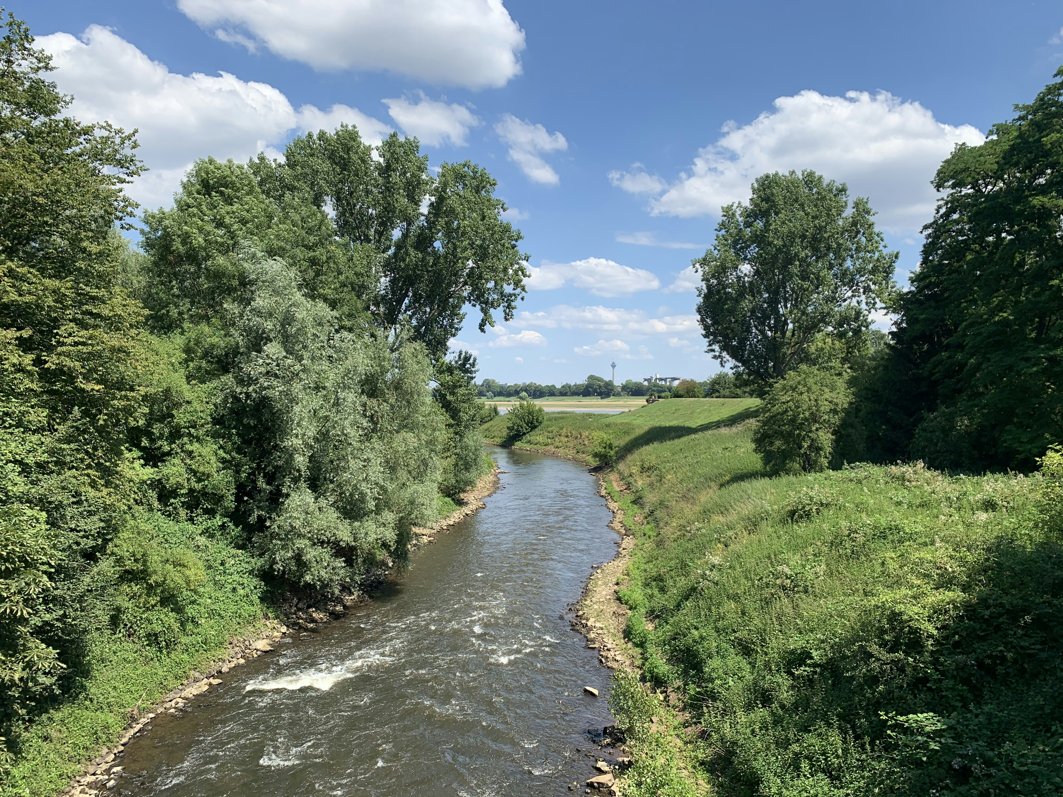 Which 8 hotels in Neuss are most eco-friendly?