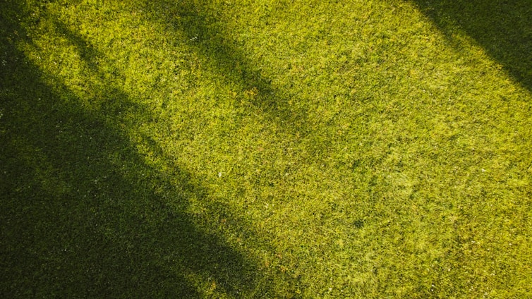 A lush green lawn with long shadows cast across the grass, creating a pattern of light and shade.