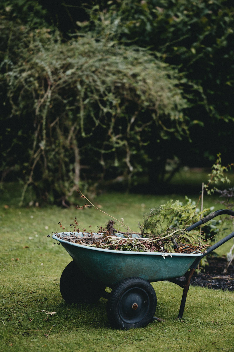 Rubbish Removal — Adderley's Landscaping Maintenance