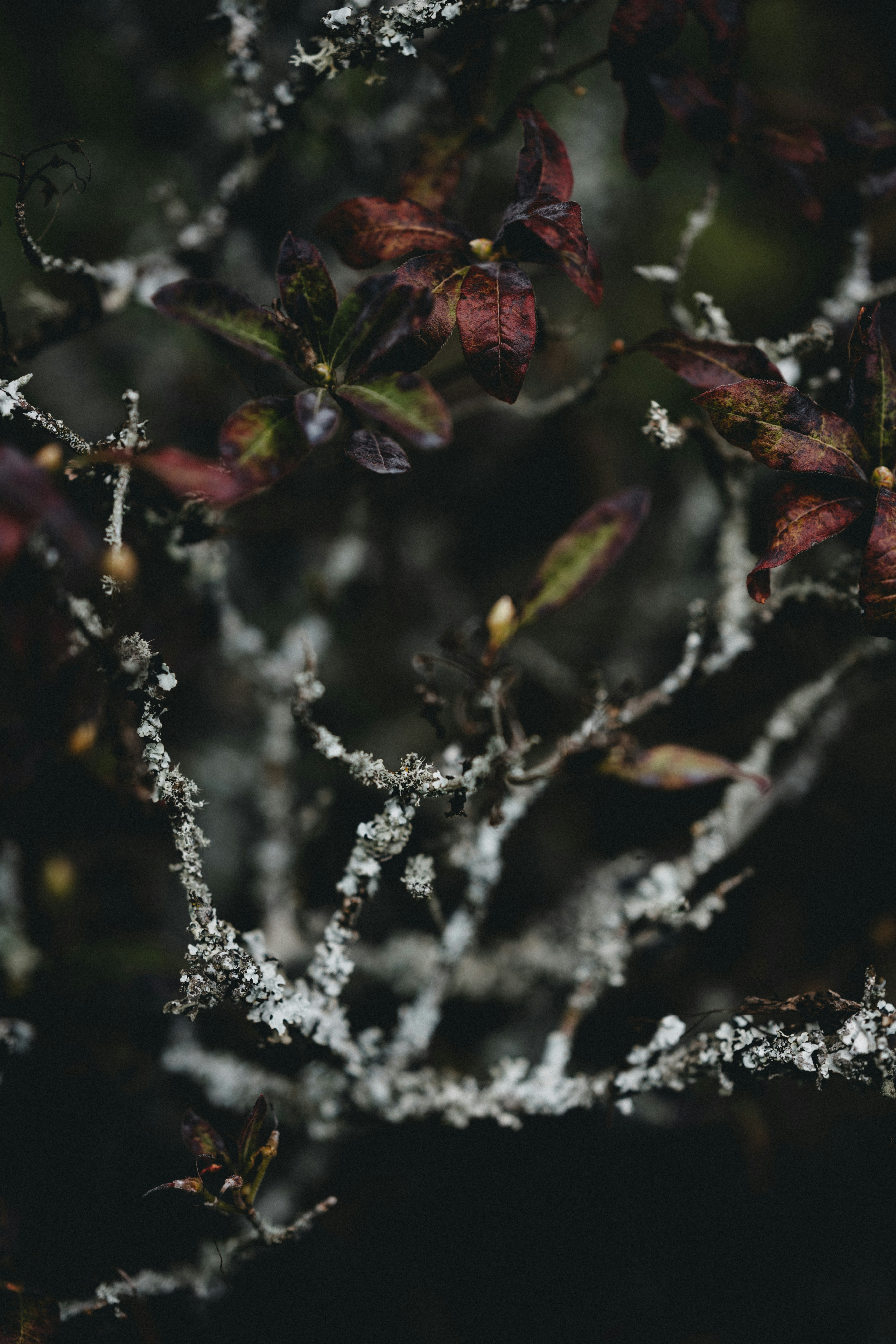 Photo by anniespratt