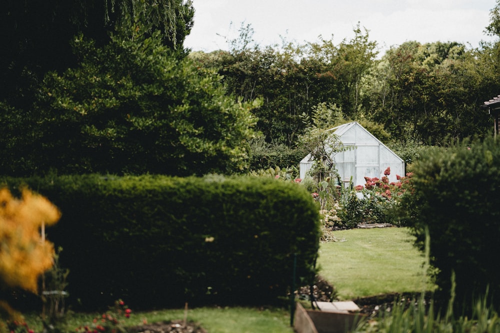 white and red house surrounded by green trees